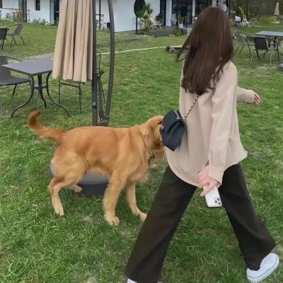 女人与英雄